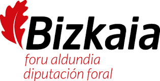 DIPUTACION FORAL DE BIZKAIA